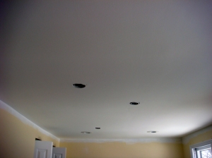 ceiling_project_03